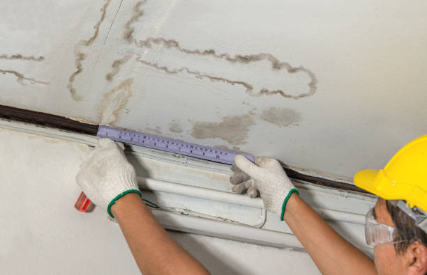 Reliable Burst Pipe Cleanup contractor in Creighton, NE by Local Water Damage Repair